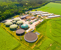 Biofuel