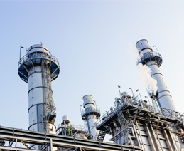 Chemical / Petrochemical