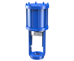 Linear Pneumatic Piston