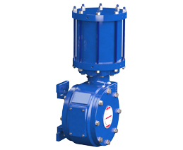 Rotary Pneumatic Piston