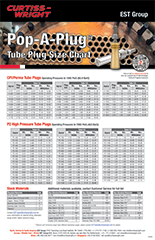 PAP Size Posters (11x17)